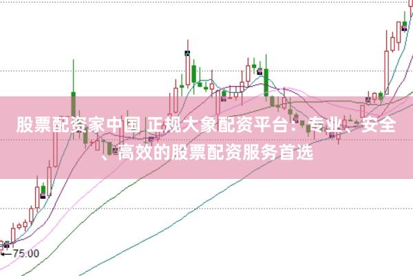 股票配资家中国 正规大象配资平台：专业、安全、高效的股票配资服务首选