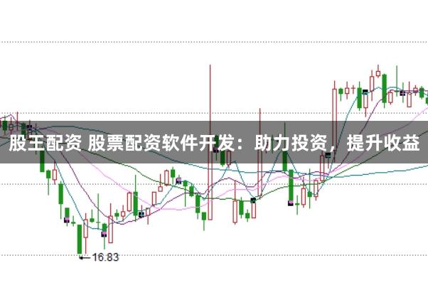 股王配资 股票配资软件开发：助力投资，提升收益