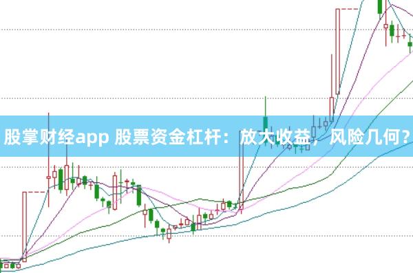 股掌财经app 股票资金杠杆：放大收益，风险几何？