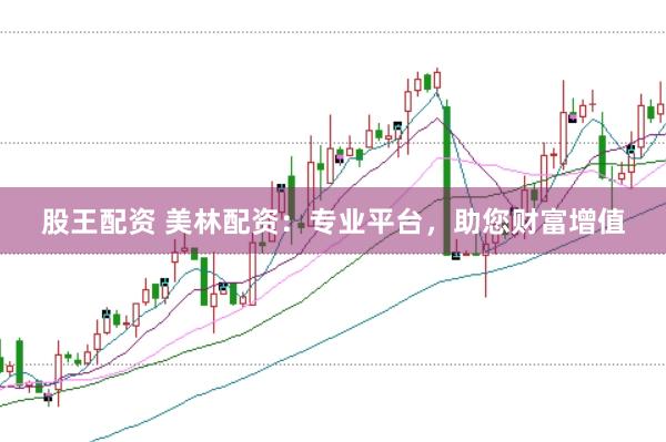 股王配资 美林配资：专业平台，助您财富增值