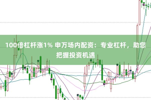 100倍杠杆涨1% 申万场内配资:专业杠杆,助您把握投资机遇