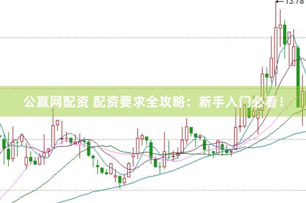 公赢网配资 配资要求全攻略：新手入门必看！