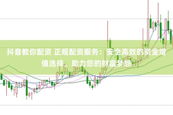 抖音教你配资 正规配资服务：安全高效的资金增值选择，助力您的财富梦想