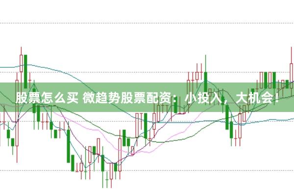 股票怎么买 微趋势股票配资：小投入，大机会！