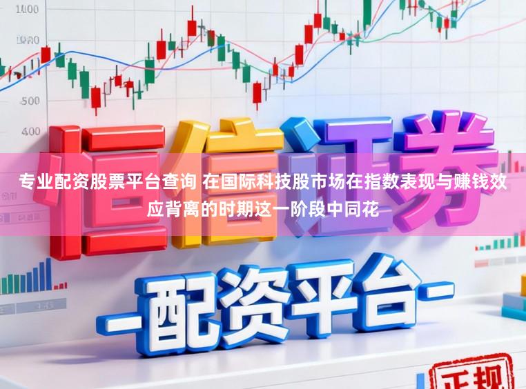 专业配资股票平台查询 在国际科技股市场在指数表现与赚钱效应背离的时期这一阶段中同花