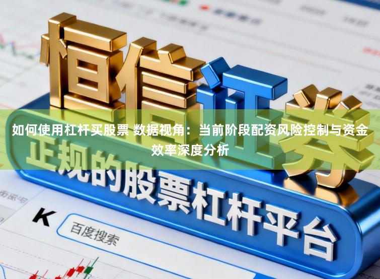 如何使用杠杆买股票 数据视角：当前阶段配资风险控制与资金效率深度分析