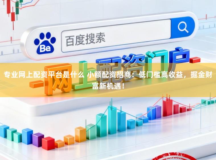 专业网上配资平台是什么 小额配资招商：低门槛高收益，掘金财富新机遇！
